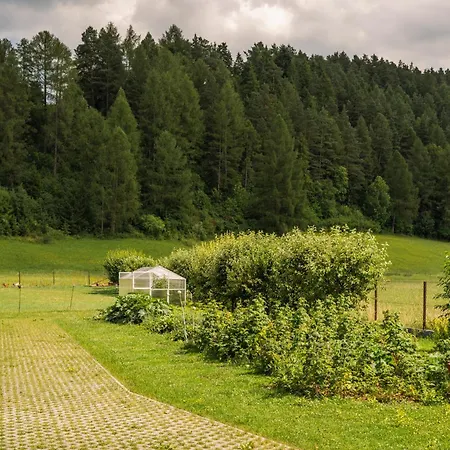 Pod Glinikiem Apartment Kacwin